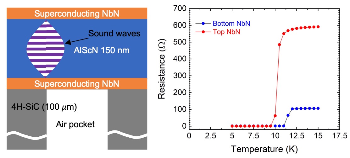 AlN membrane release